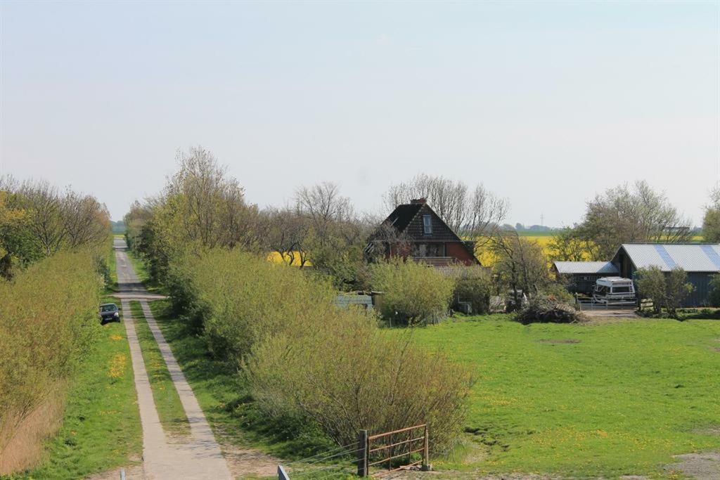 Am Deich Apartment Tumlauer Koog